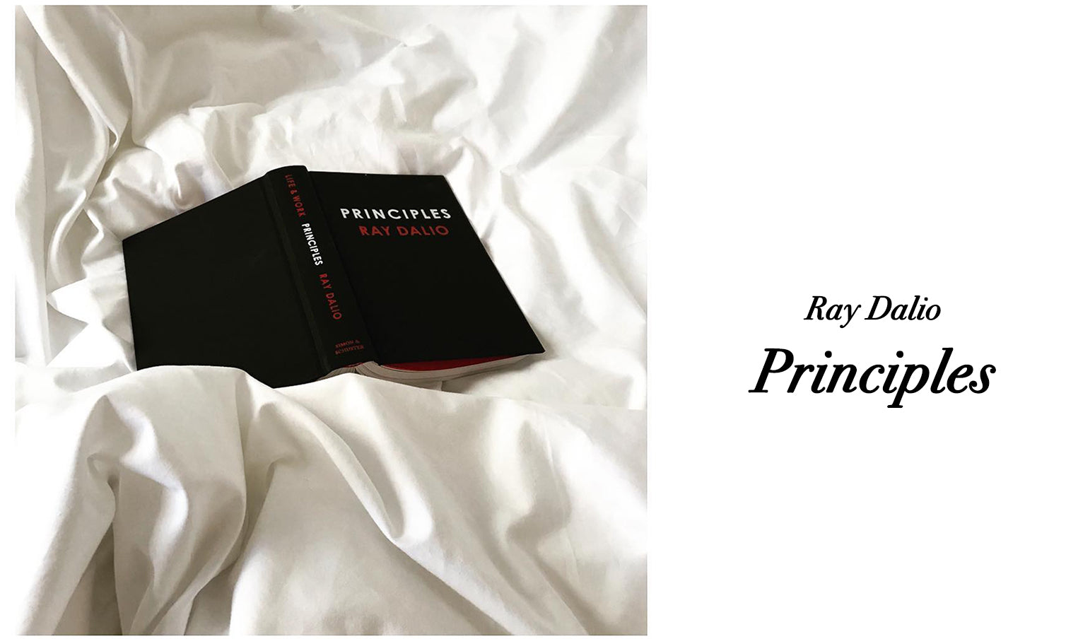 BOOK CLUB: RAY DALIO “PRINCIPLES”